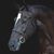 Charlie Lieske's profile image