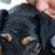 Lindsey Spaulding's profile image