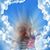 Traci Hoosier's profile image