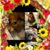 Lana Crawford's profile image