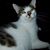 David Heidlebaugh's profile image