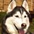 Bluide Guy's profile image