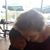 Donna Logerwell Heatley's profile image