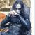 Mario Olivo's profile image