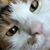 Brenda Carlson Pocernich's profile image