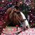 Joy Patrice Cullipher's profile image