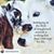 Debbie Reindl's profile image