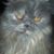 Scott Marks's profile image
