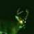 Cait Whisler's profile image