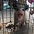 Jarred Sherrill's profile image