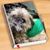 Loreen Painter's profile image