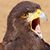 Jeremy Johnson's profile image