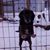 Dawn Cripe Schafer's profile image