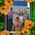 Tony Wallace's profile image