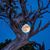 Stephanie Peters's profile image