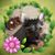 Linda Cole's profile image