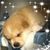 Gail de Rita's profile image