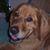 Kitty Collins's profile image
