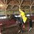 Jennifer Lockwood Stagl's profile image
