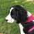Linda Turner's profile image