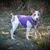 Janette Starley Conz's profile image