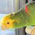 Sharon Walsh's profile image