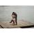 Juliana Marie Pappalardo's profile image