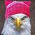 Linda Hackett Kasenow's profile image