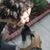 Lara Busch's profile image