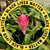 Bonnie Sokolow's profile image