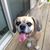 Elaine Weaver's profile image
