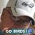 Donna Cannizzaro-Jones's profile image