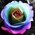 Mary Bigknife's profile image