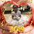 Jose Hernandez's profile image