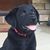 Nicole Gautier McDonough's profile image