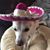 Rachel Spaulding's profile image