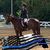 Katelin Rogers's profile image