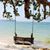 Lynne Mitchell Landreville's profile image