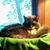 Claudia Scott Sorensen's profile image