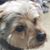 Becky Sphatt Minehart's profile image