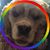 Keri Shamone Wilhelm's profile image