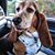 Stacey Goble's profile image