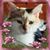 Jule L. Eberle's profile image