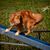 Linda Jones's profile image