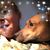 Carole Jackson-Rogers's profile image