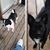 Kathy R. McMillan Lively's profile image