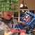 Tina D. Ward's profile image