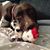 Deborah Ann Posky's profile image