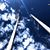 Brandon Lisa Collier's profile image