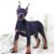 Rhonda Morse's profile image